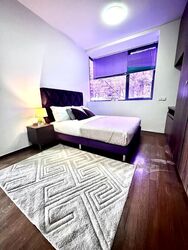 Treasure Place (D5), Condominium #546375351